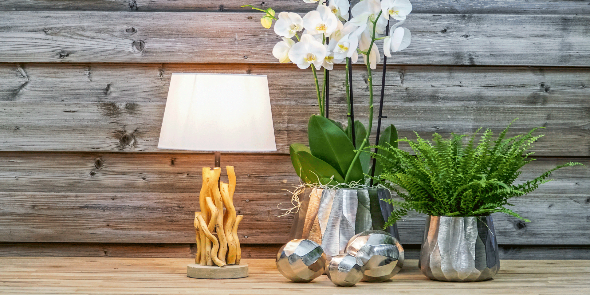 Arbasta stylish gardening